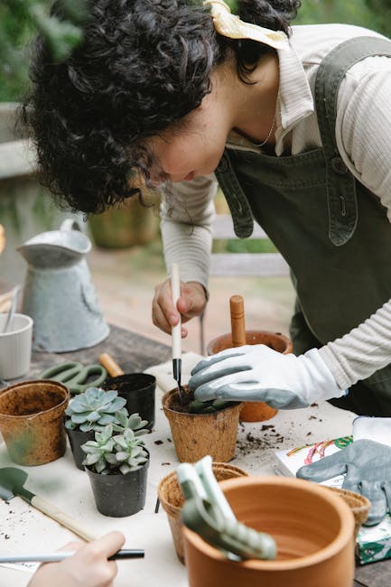 A person with curly dark hair, wearing a striped shirt and green apron, is engaged in garden maintenance while planting a small succulent in a brown terracotta pot. The workspace is outdoors, featuring a weathered wooden table cluttered with various gardening tools, including a pair of shears, a watering can, and additional pots filled with soil. Bright natural daylight illuminates the scene, highlighting the fresh, moist soil and the textures of the plant’s fleshy, pale green leaves. Surrounding the main activity are other garden beds and borders with neatly trimmed grass and a mix of leafy shrubs and small trees in the background. The orderly arrangement and clean workspace suggest careful landscaping work typical of small yard garden care, with a focus on container planting. This scene is representative of services provided by Gardeners Bermondsey, who specialize in garden maintenance and landscaping work to enhance outdoor spaces.