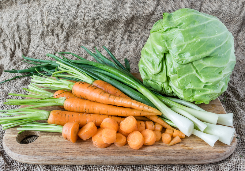 landscape design garden