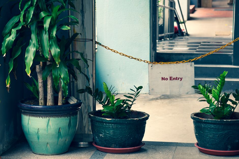A daytime outdoor scene showing two potted plants and a large plant in a decorative ceramic container placed against a wall. The large plant has long, broad, green leaves with wavy edges, while the two smaller plants have bushy, dark green, glossy leaves and are positioned in matching dark planters on red trays. A metal chain with a yellow finish is stretched across a doorway, attached to the wall, with a rectangular white sign hanging from it that reads 'No Entry' in bold red letters. In the background, a stairway with metal steps and railings leads upward, partially visible beyond the chain, suggesting restricted access to a garden or service area. The setting appears to be the entrance or a maintenance access point of a garden or outdoor space, with the plants adding greenery and a natural touch to the scene. This image represents garden maintenance and landscaping work, as performed by Gardeners Bermondsey, emphasizing access issues for outdoor care services.
